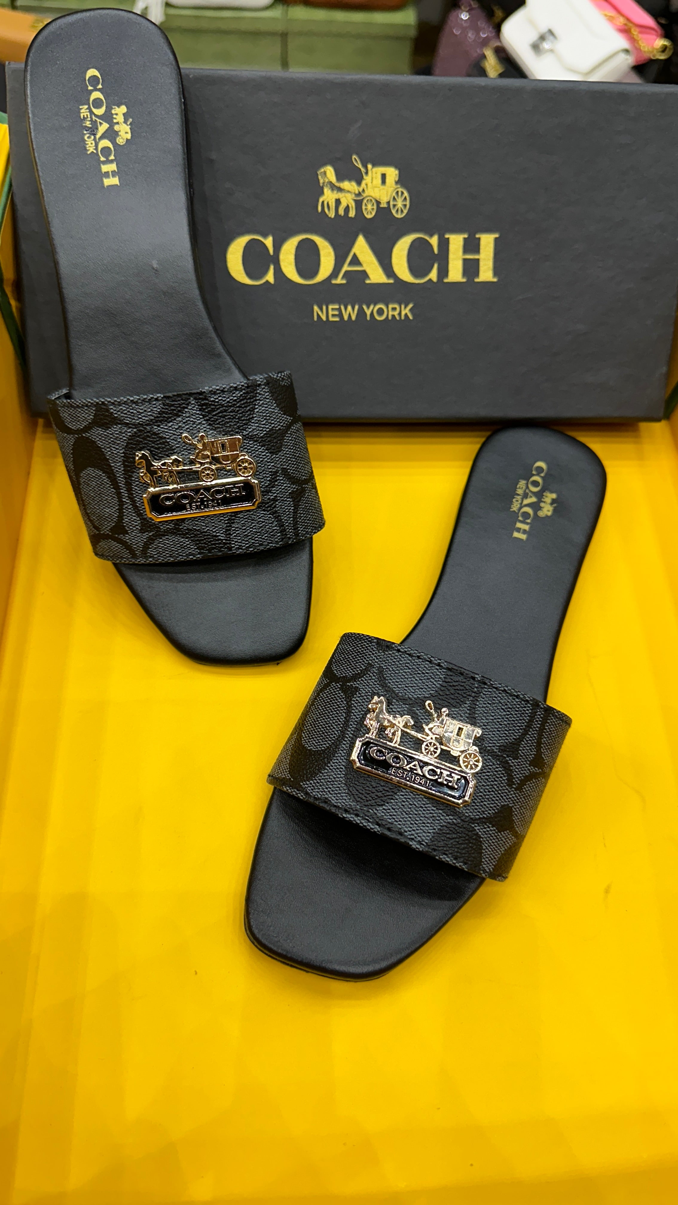 Zcoach flats