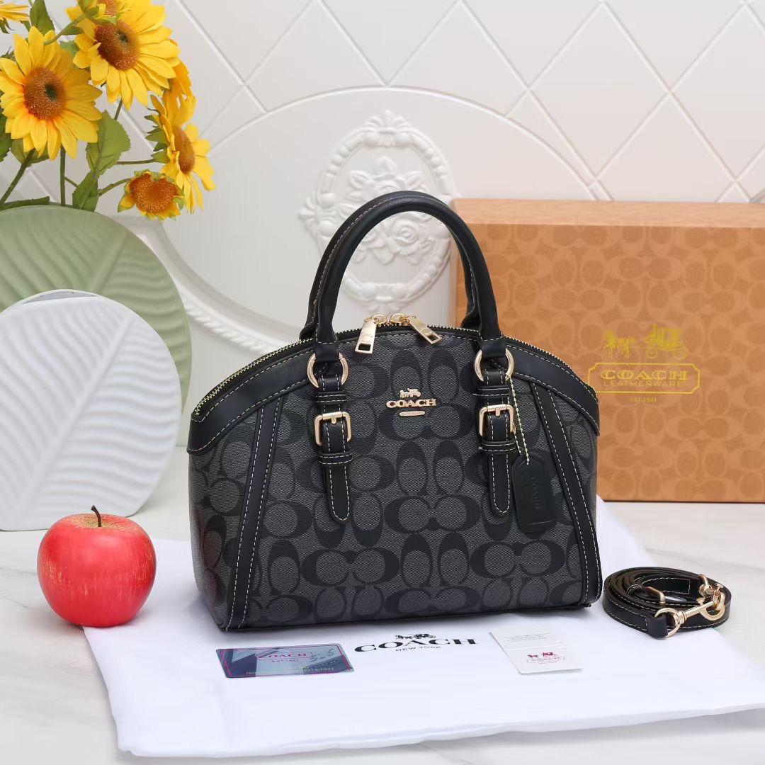 Coach Luxury Handbag