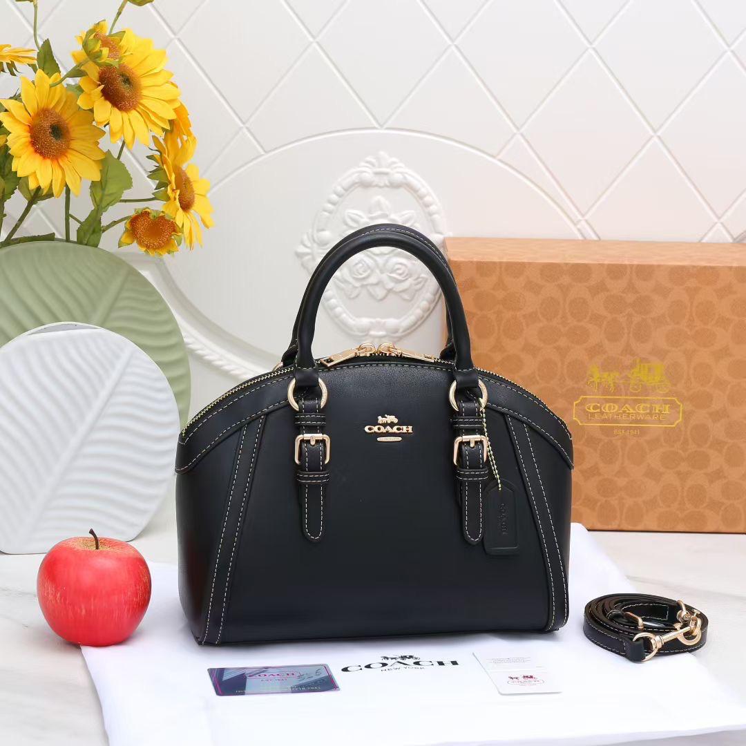 Coach Luxury Handbag