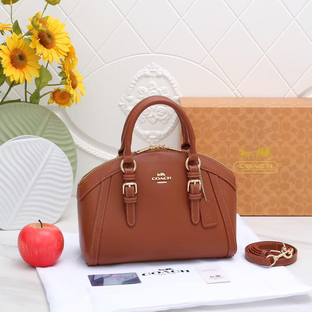 Coach Luxury Handbag